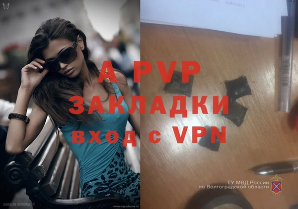 СК Зерноград