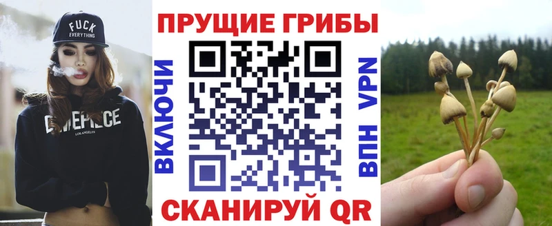 Галлюциногенные грибы Psilocybe  Купить закладки  Донской 